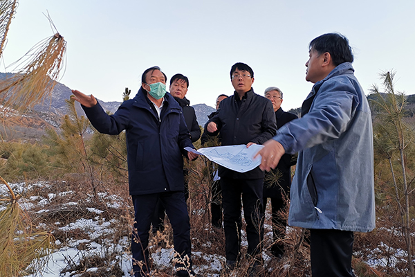 1608197318703684.jpg e5dc67acc319354321b97772a20a421.jpg