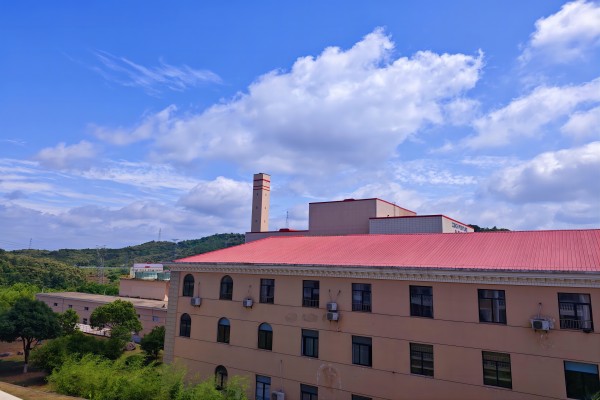 1717473377934678.jpg 漫畫(huà)里的金寨海創(chuàng)(1).jpg