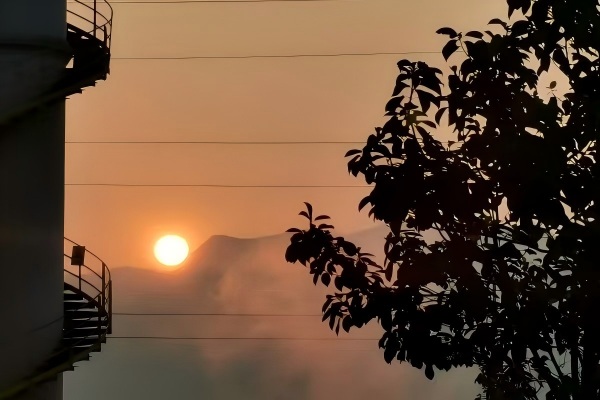 1763453683159775.jpg 1.jpg