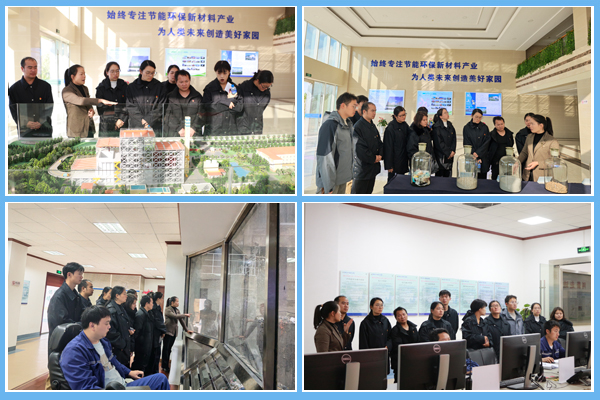 1764115951853846.jpg 3.jpg